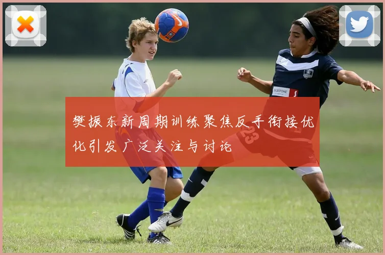 樊振东新周期训练聚焦反手衔接优化引发广泛关注与讨论